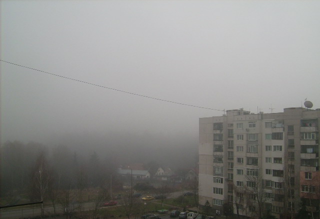 в мъглата...