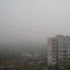 в мъглата...