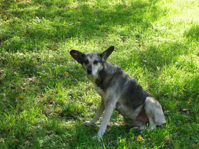 Skap model sam :) parvo trqbva da mi platish ... ne me snimai