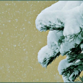 Snow beside the wall