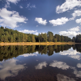 огледално