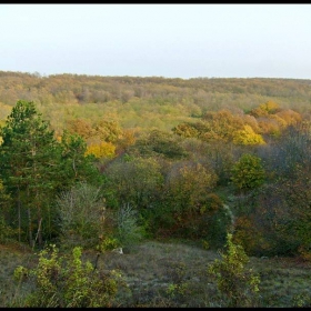 На село е най хубаво