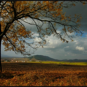 Есенни страсти