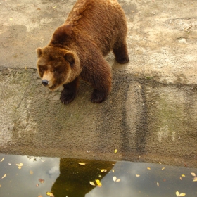 водно огледало