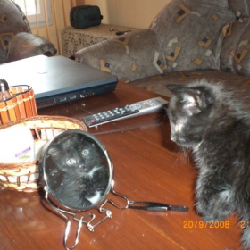 Коте Лу
