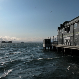 Seattle Aquarium