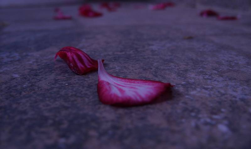 End