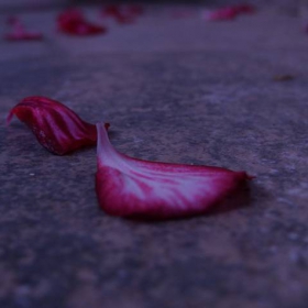 End