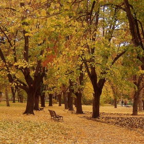 Есенни алеи