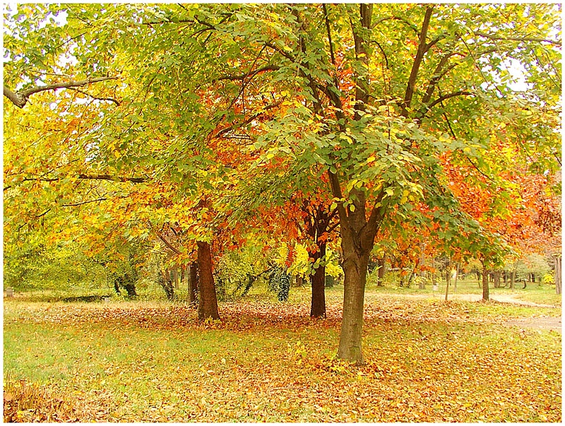 Есенна палитра