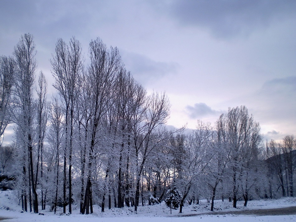 November snow