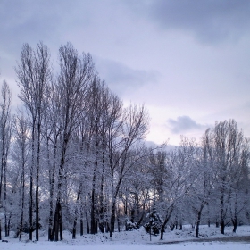 November snow