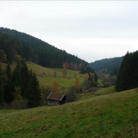 v Schwarzwald