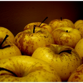 apples...