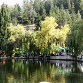 Клептуза - 2