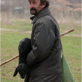 Ей сега се роди ... в гората