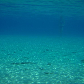 ПОД ВОДАТА