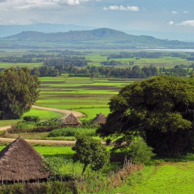 Green, Green Grass Of Home