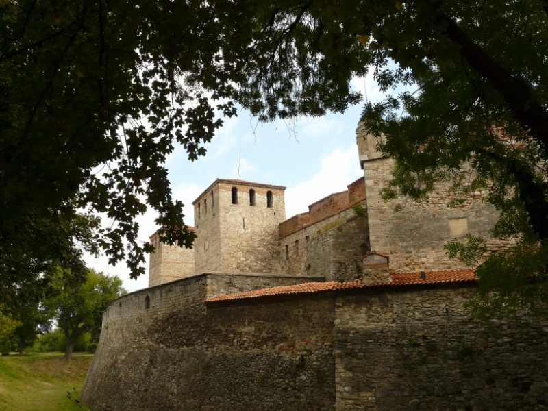 Старата Баба Вида