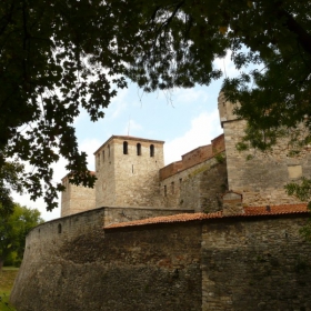 Старата Баба Вида