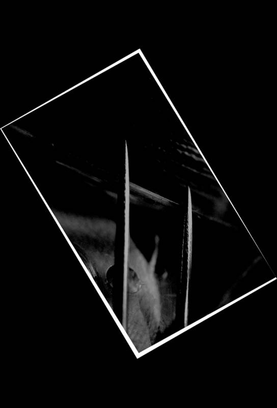 Delusion