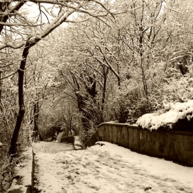 winter
