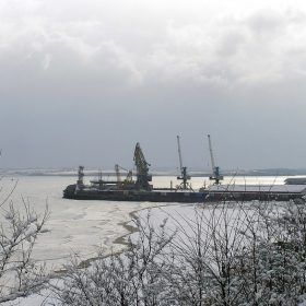 Коледен сняг