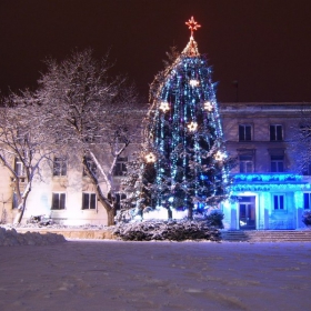 Елхата на Враца