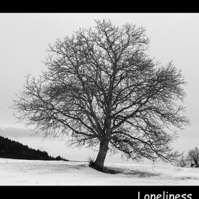 Loneliness