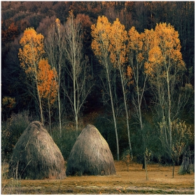 с.Лисец