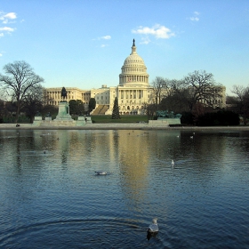 The Capitol