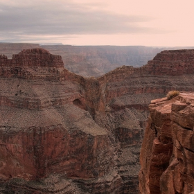 Grand Canyon, West Rim- Орелът