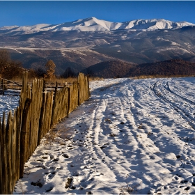 Дъбравски баири (2)