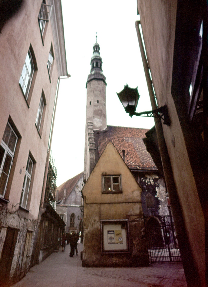 Tallin