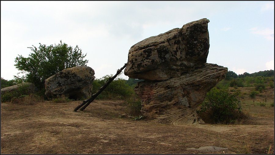 Голямата сестра