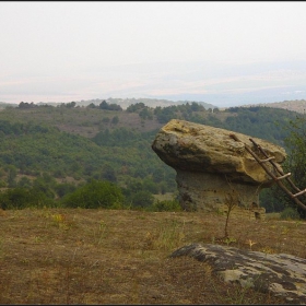 Малката печурка