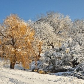 Първо зимно докосване...