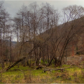 Първата ми (й) снимка (не е моя)