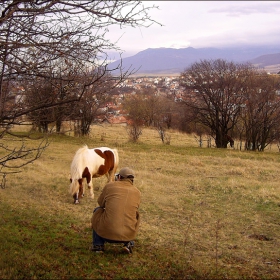 Фотографът и Моделът