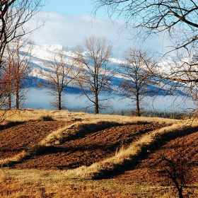 Разораната целина