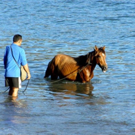 in the ocean