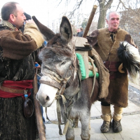 С магаре на площада - от фестивала в Перник