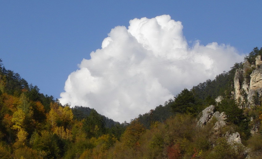 памуково облаче