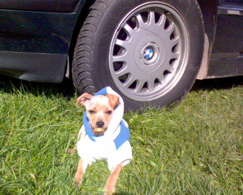 KAPONE