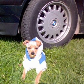 KAPONE