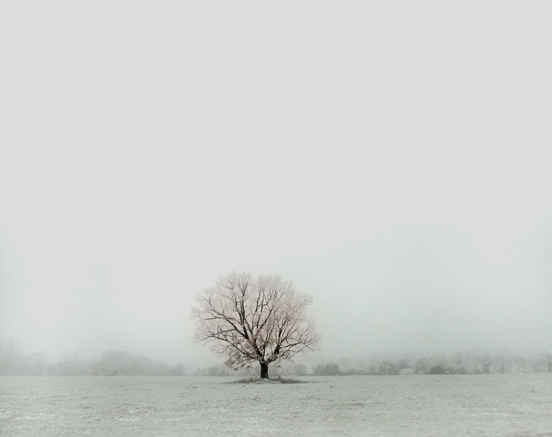 winter tale