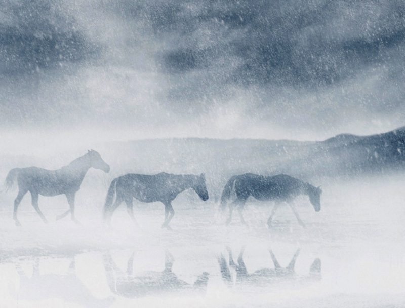 SNOW STORY