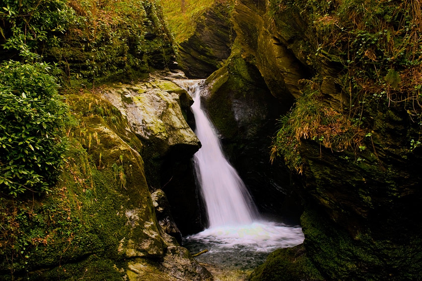Hidden treasures