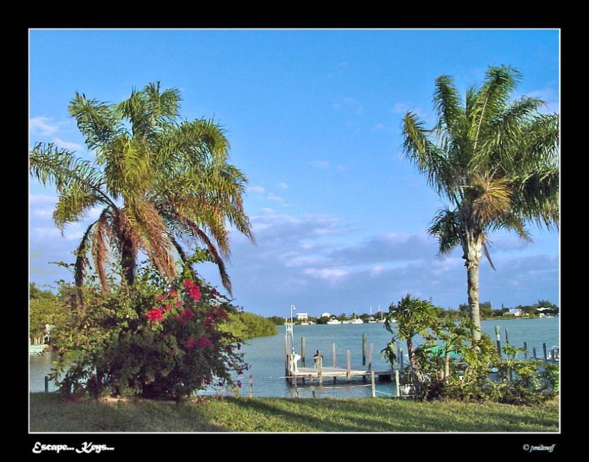 The Keys