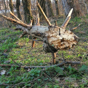 Снимка без име